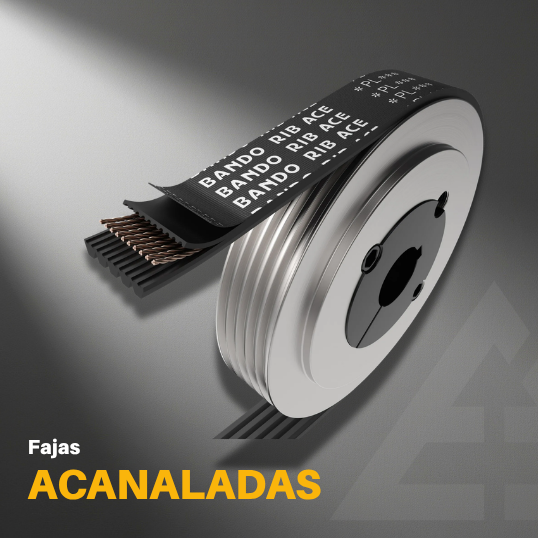 Faja Acanalada Bando